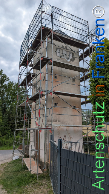 © Artenschutz in Franken® Bild zum Eintrag (1122268-160)