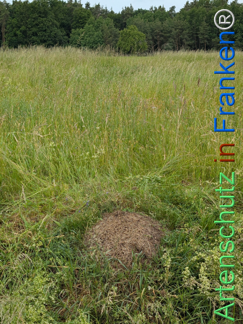 Bild zum Eintrag (1122853-160)