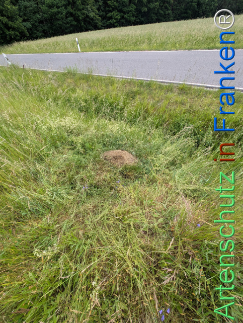 Bild zum Eintrag (1122855-160)