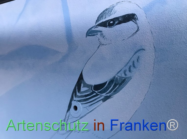 Bild zum Eintrag (1122906-160)