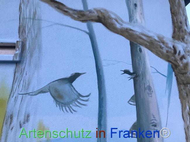 Bild zum Eintrag (1122907-160)