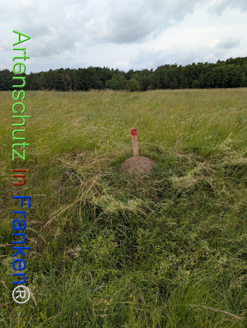 Bild zum Eintrag (1123101-160)