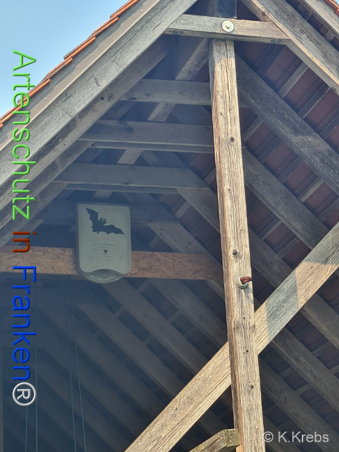 © Artenschutz in Franken® / K.Krebs Bild zum Eintrag (1123114-160)