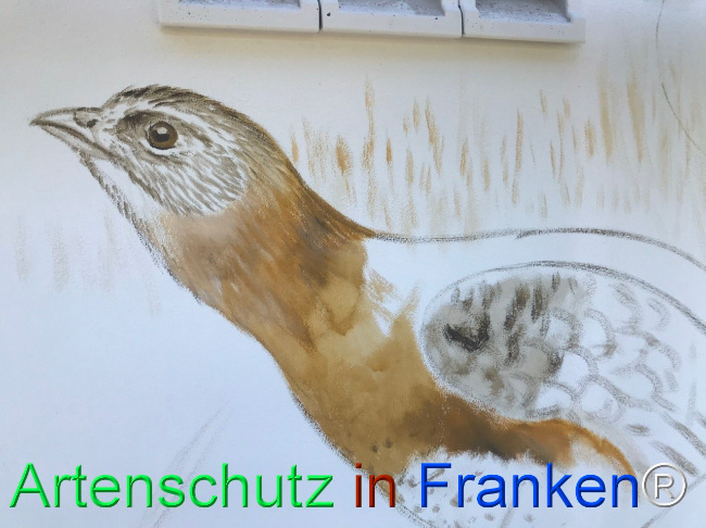 Bild zum Eintrag (1123372-160)