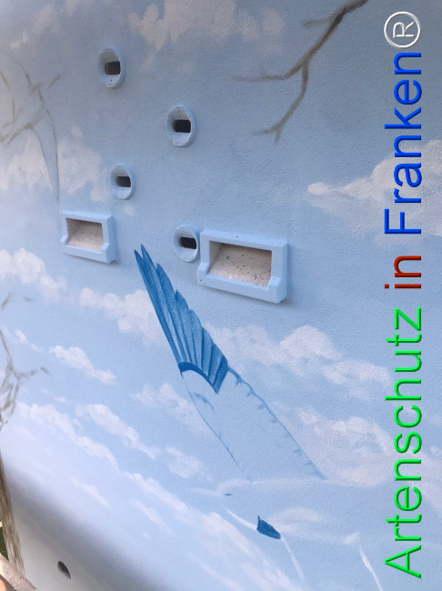 Bild zum Eintrag (1123373-160)