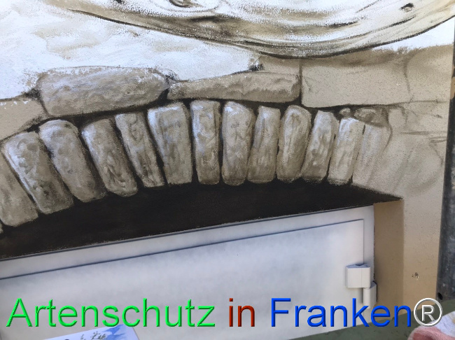 Bild zum Eintrag (1123374-160)