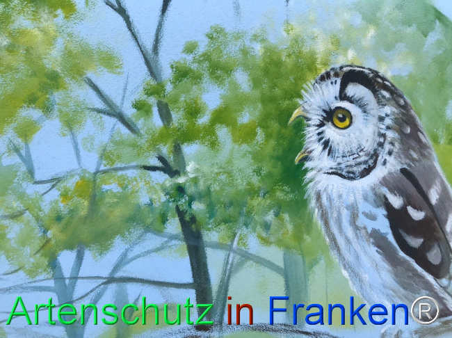 Bild zum Eintrag (1123375-160)