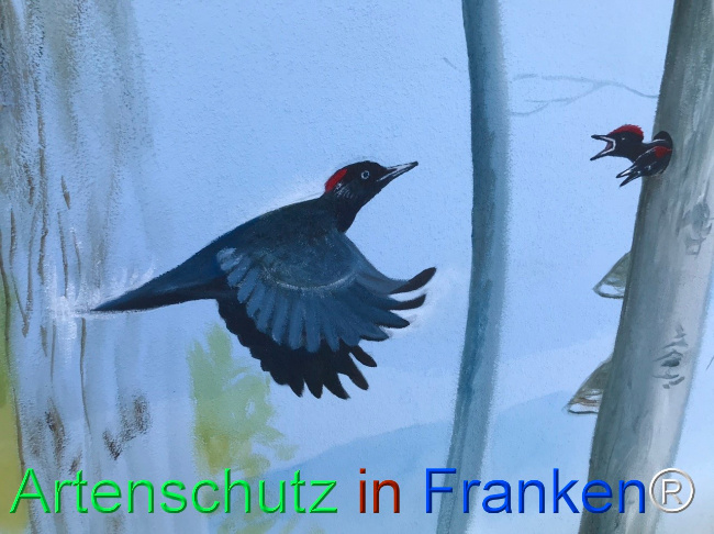 Bild zum Eintrag (1123383-160)