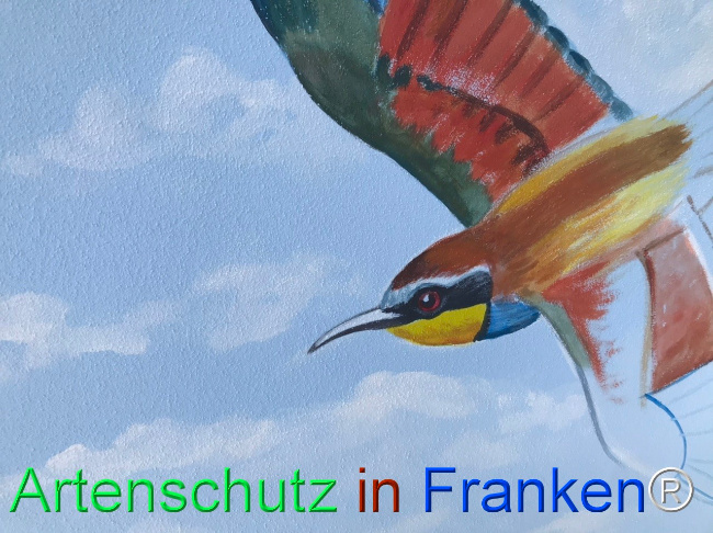 Bild zum Eintrag (1123385-160)