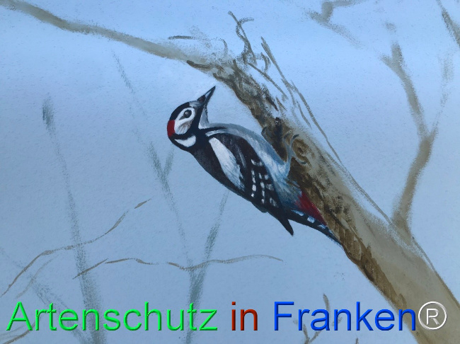 Bild zum Eintrag (1123386-160)