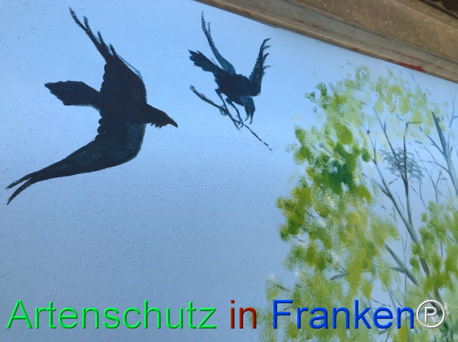 Bild zum Eintrag (1123388-160)