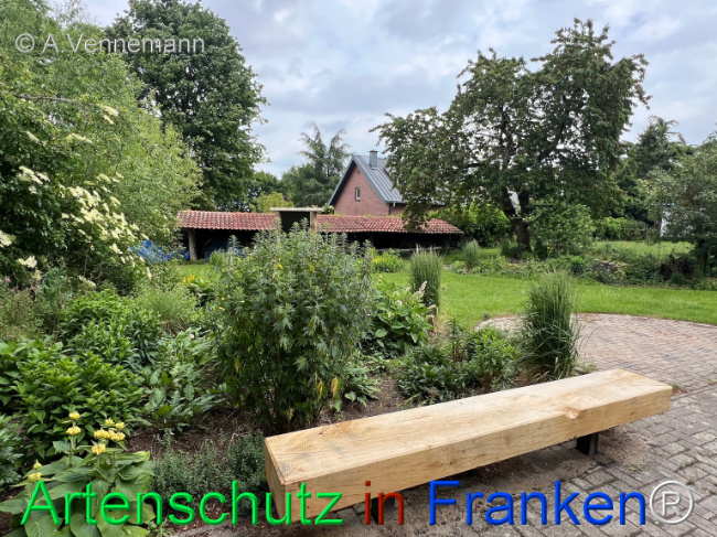Bild zum Eintrag (1123396-160)