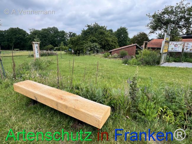 Bild zum Eintrag (1123397-160)