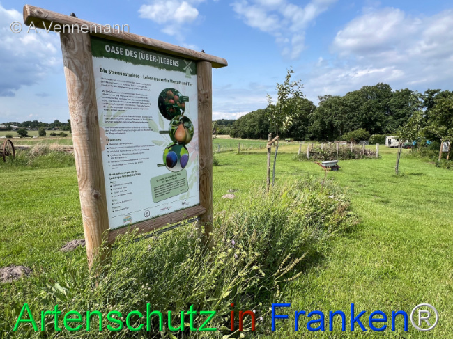 © Artenschutz in Franken® / Vennemann Bild zum Eintrag (1123400-160)