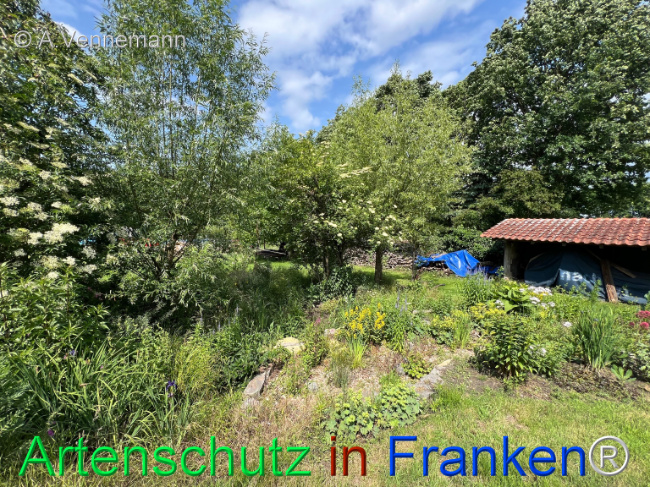 Bild zum Eintrag (1123406-160)