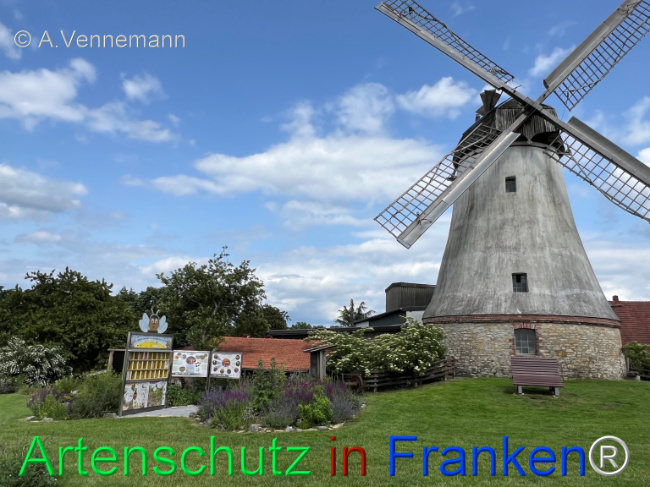 Bild zum Eintrag (1123407-160)