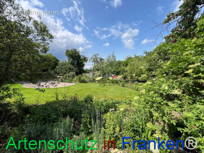 Bild zum Eintrag (1123408-160)