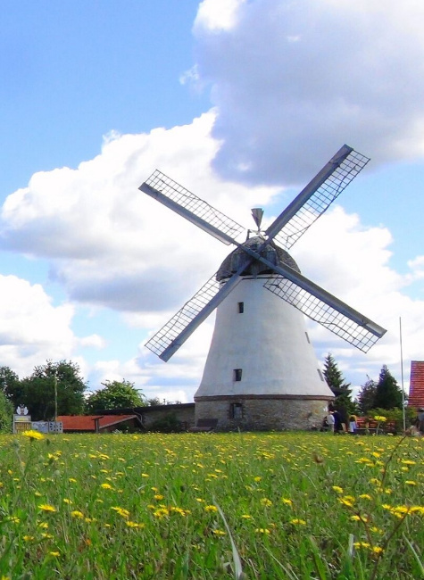 Bild zum Eintrag (1123409-160)