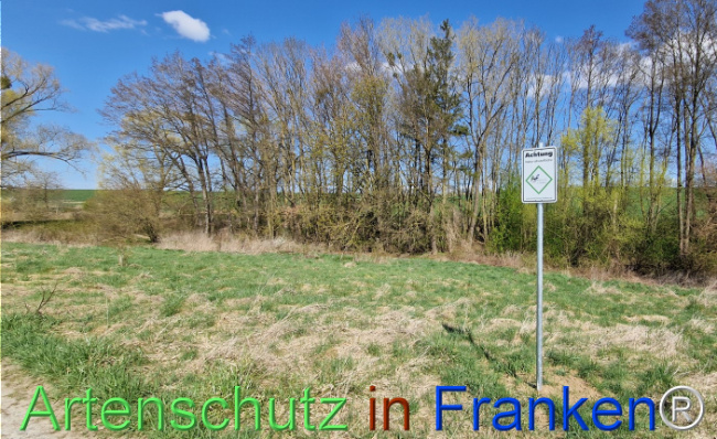 © Artenschutz in Franken® Bild zum Eintrag (1123447-160)