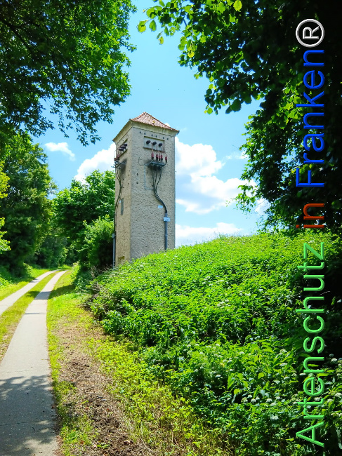 © Artenschutz in Franken® Bild zum Eintrag (1123506-160)