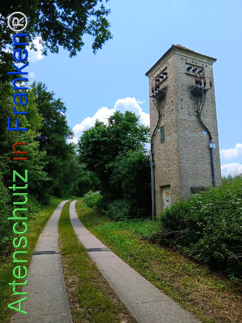 © Artenschutz in Franken® Bild zum Eintrag (1123507-160)