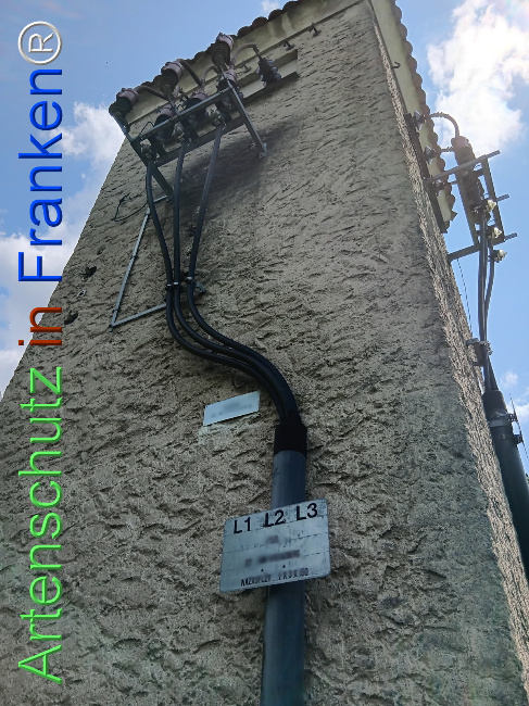 © Artenschutz in Franken® Bild zum Eintrag (1123511-160)