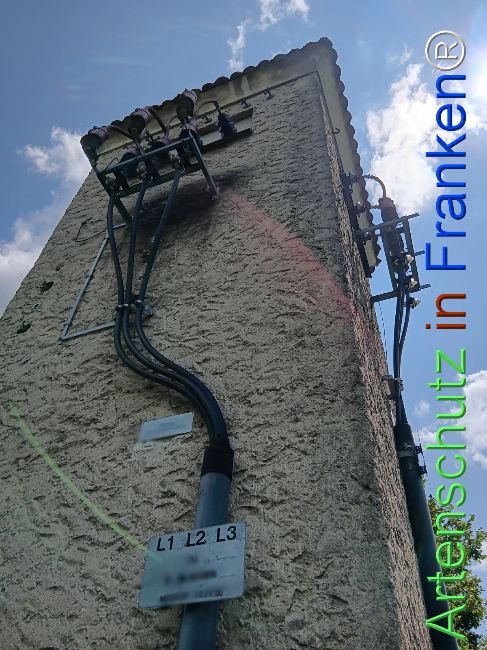 © Artenschutz in Franken® Bild zum Eintrag (1123512-160)