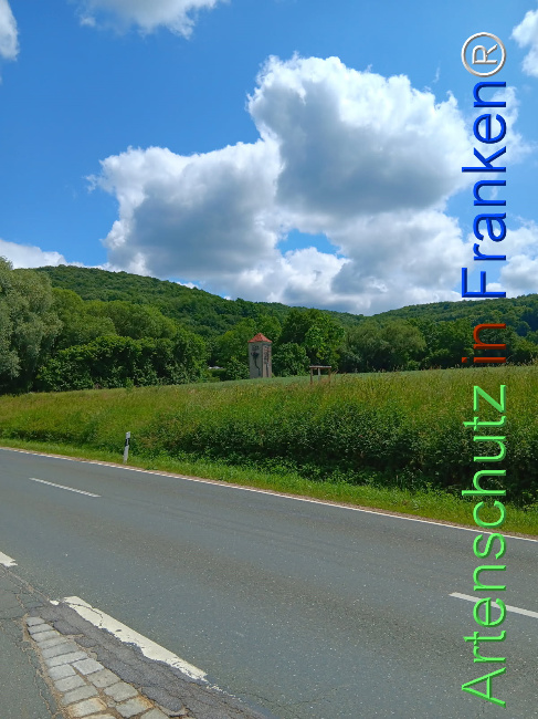 © Artenschutz in Franken® Bild zum Eintrag (1123522-160)