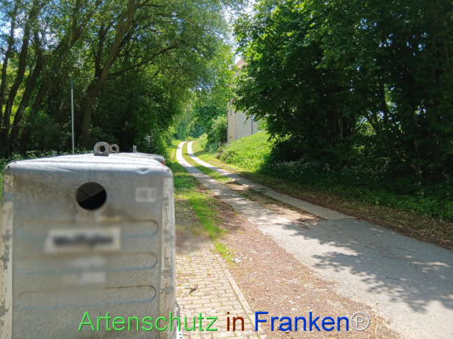 © Artenschutz in Franken® Bild zum Eintrag (1123523-160)