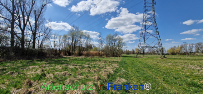 Bild zum Eintrag (1123733-160)