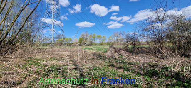 Bild zum Eintrag (1123735-160)