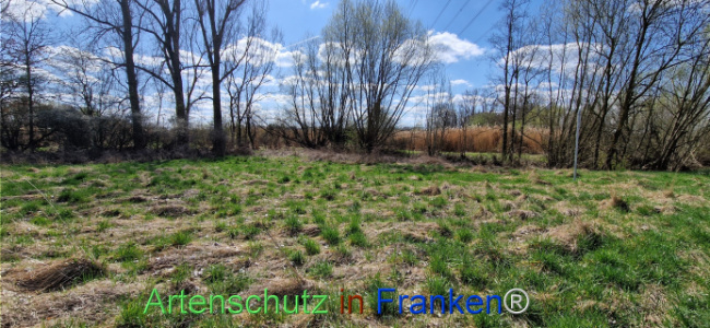 Bild zum Eintrag (1123736-160)