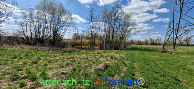 Bild zum Eintrag (1123737-160)