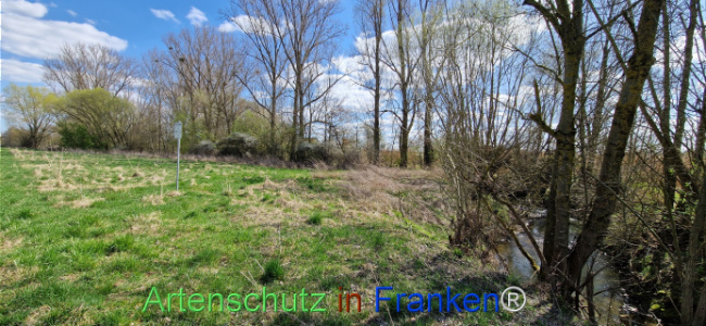 Bild zum Eintrag (1123738-160)