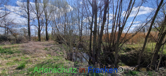 Bild zum Eintrag (1123739-160)