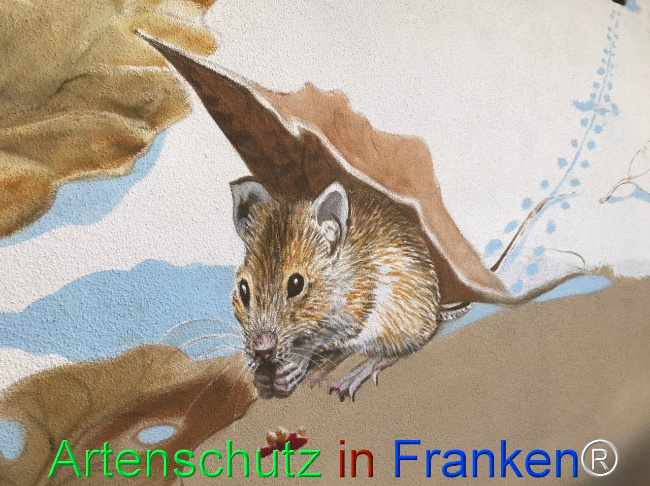 Bild zum Eintrag (1123773-160)