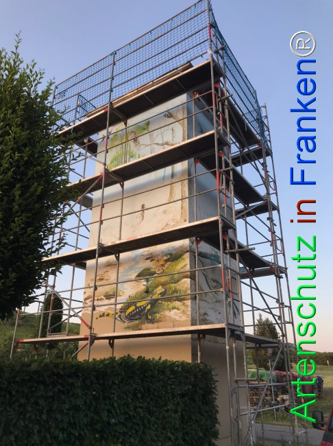 Bild zum Eintrag (1123776-160)