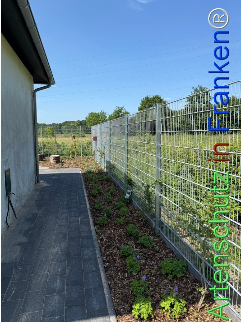 © Artenschutz in Franken® Bild zum Eintrag (1123783-160)