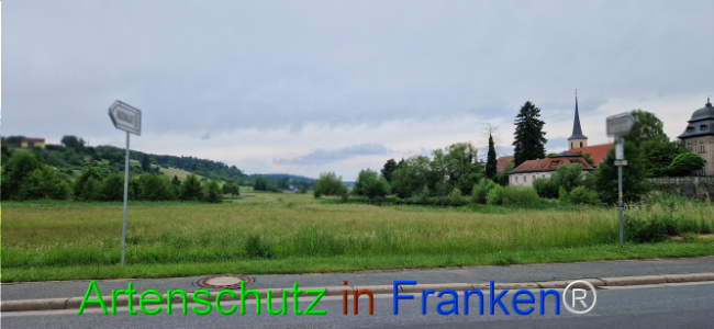 Bild zum Eintrag (1124029-160)