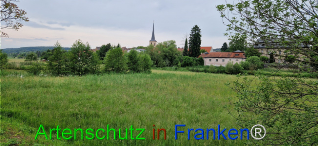 Bild zum Eintrag (1124030-160)
