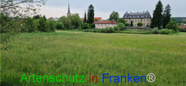 Bild zum Eintrag (1124031-160)