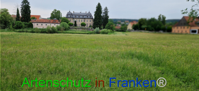 Bild zum Eintrag (1124032-160)