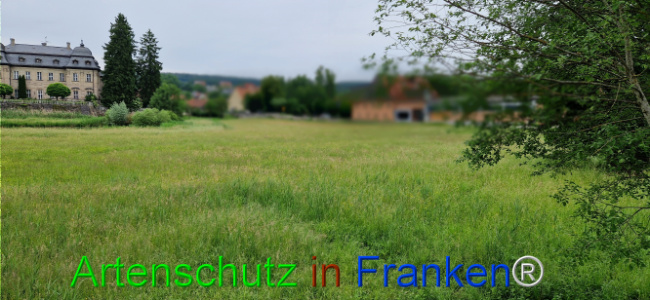 Bild zum Eintrag (1124033-160)