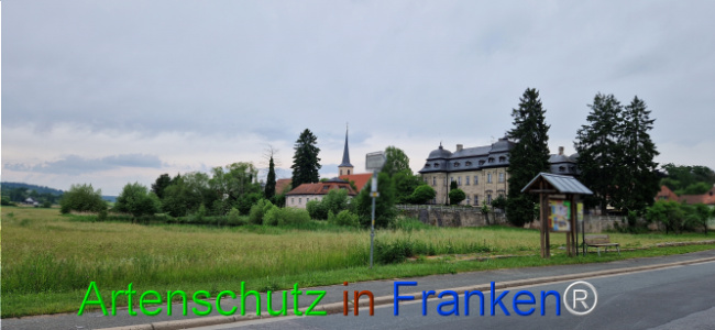 Bild zum Eintrag (1124034-160)