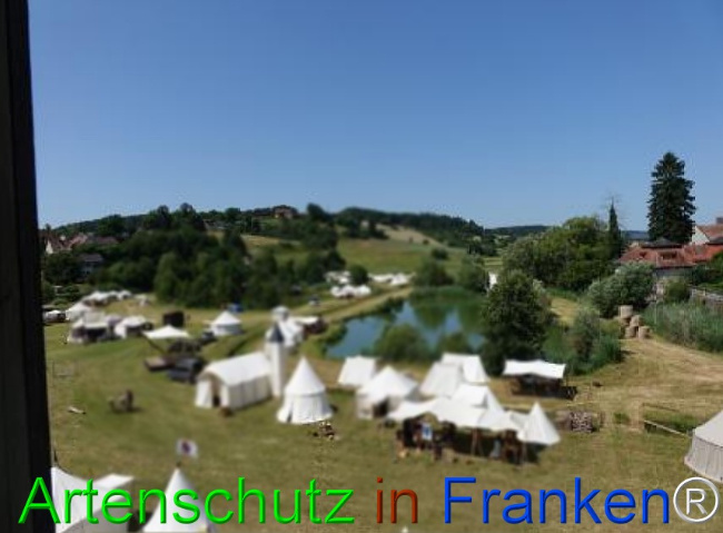 Bild zum Eintrag (1124044-160)