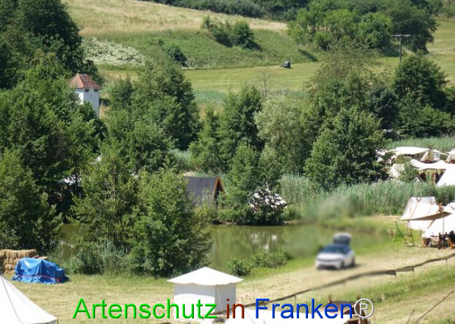 Bild zum Eintrag (1124045-160)