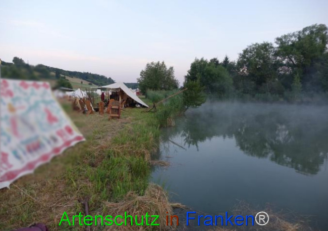 Bild zum Eintrag (1124046-160)