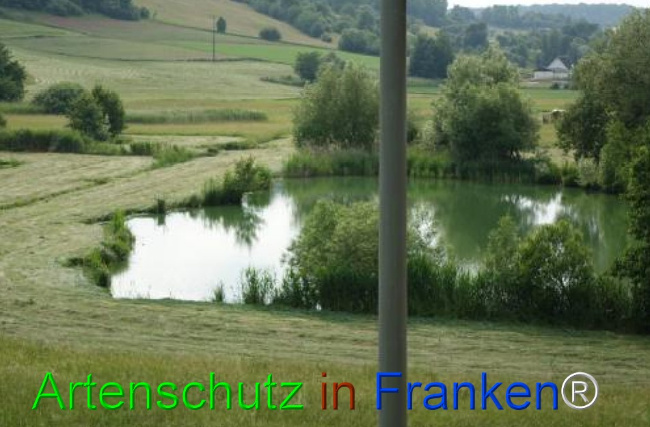 Bild zum Eintrag (1124050-160)