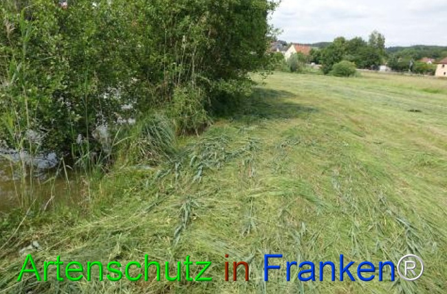 Bild zum Eintrag (1124051-160)