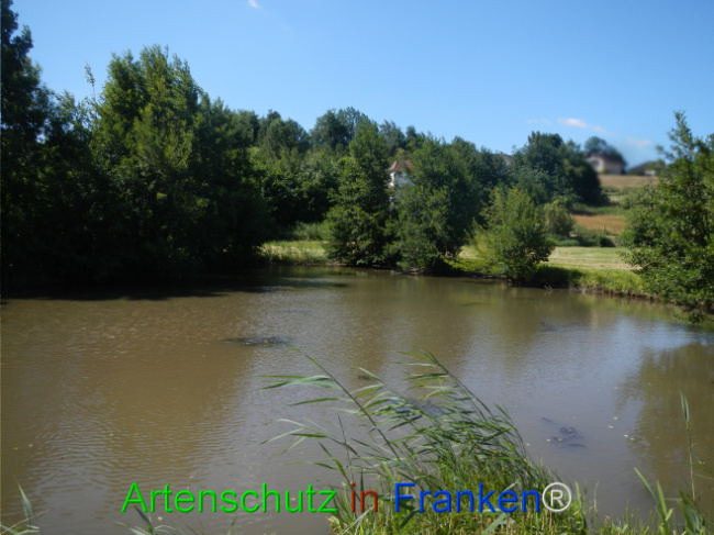 Bild zum Eintrag (1124063-160)